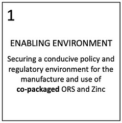 Prong 1 - Enabling environment