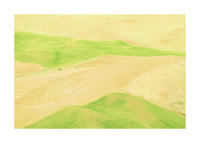 ON the Palouse...May