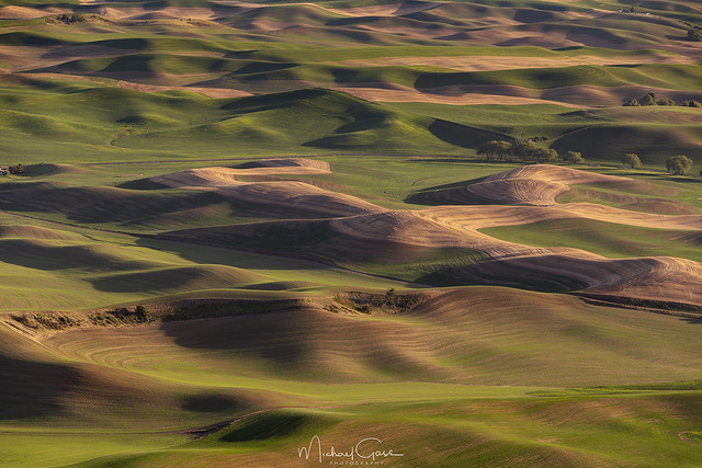 Rolling Hills Of The Palouse