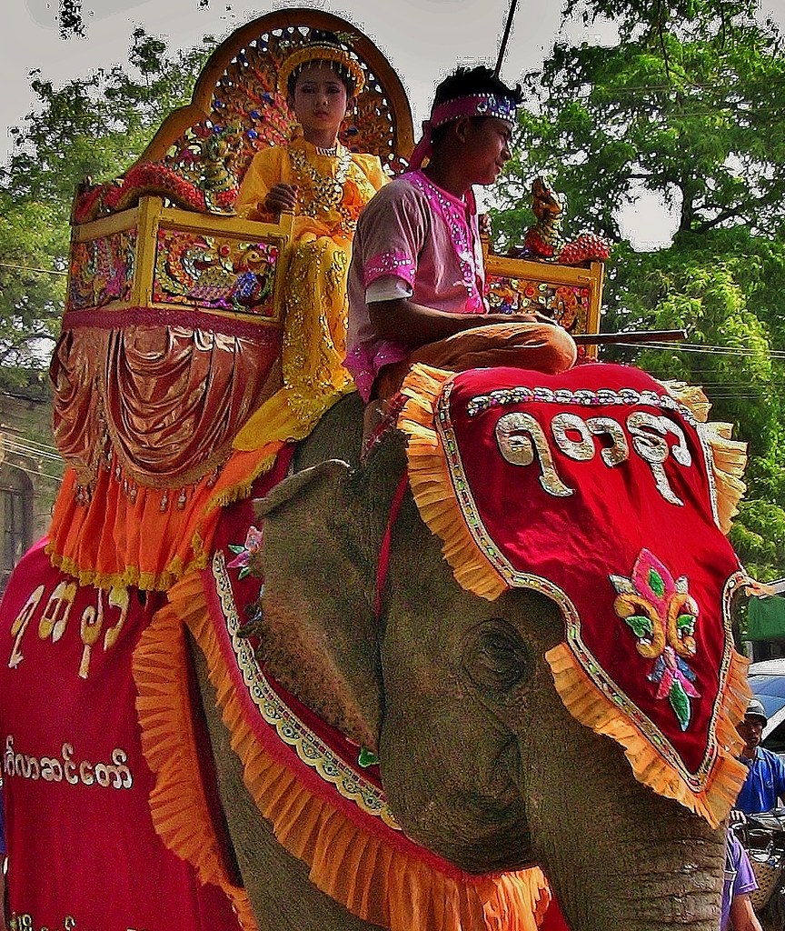 MYANMAR , Burma,  -  Prozession bei Bagan- Nyaung-U. ,Novize mit Elefant  bei der Shinbyu-Zeremonie , 78397/13817