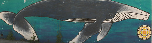 Rutland Street Art Whale