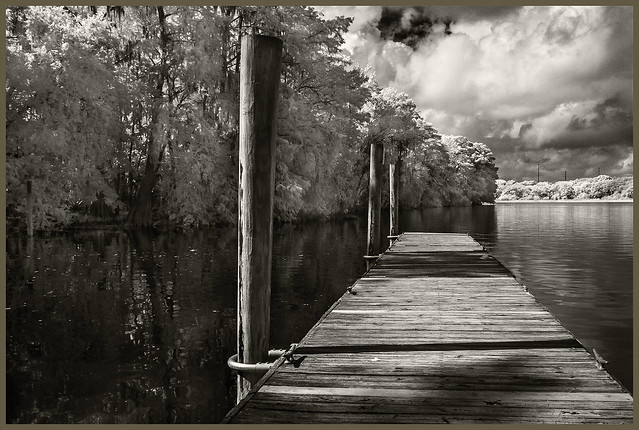 St Johns River IR #3 2021; A Dock in the Park