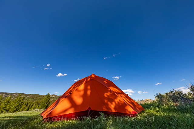 Tent in High Meadow near Beartooth Highway