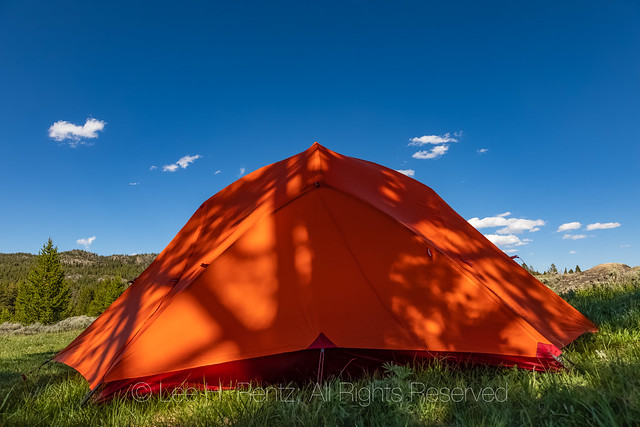 Tent in High Meadow near Beartooth Highway