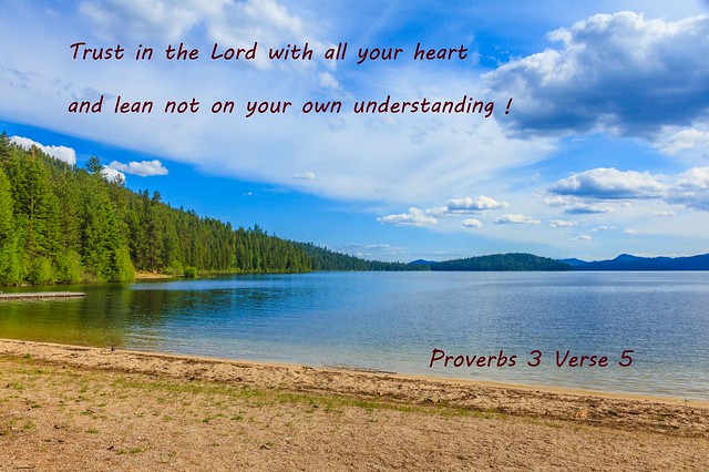 Proverbs 3 Verse 5