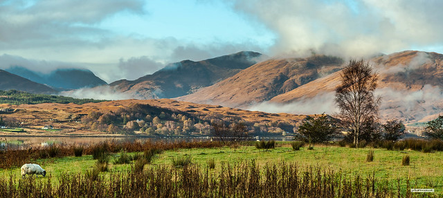 Mist clings to the mountains above Loch Shiel as autumn colours triumph at the western end of Loch Eil. The humps on the far shore are a sign of previous glacial deposition known as Drumlins, Lochaber, Inverness-shire, Scotland.