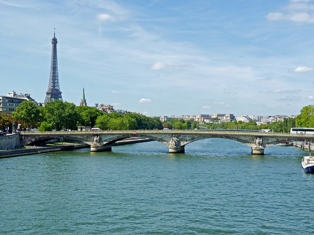View from the Le Pont Alexandre 111 Bridge