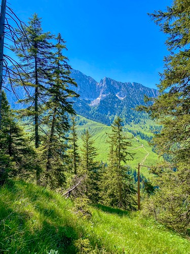 iphone europe europa österreich austria tyrol tirol gamskogel mountain alps alpine tree forest view landscape landschaft scene scenery scenic outdoors
