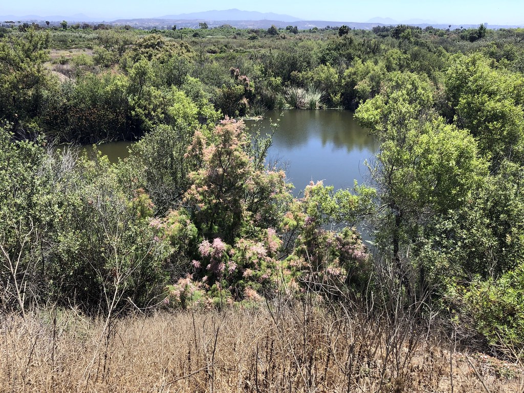 North Beach Trail
