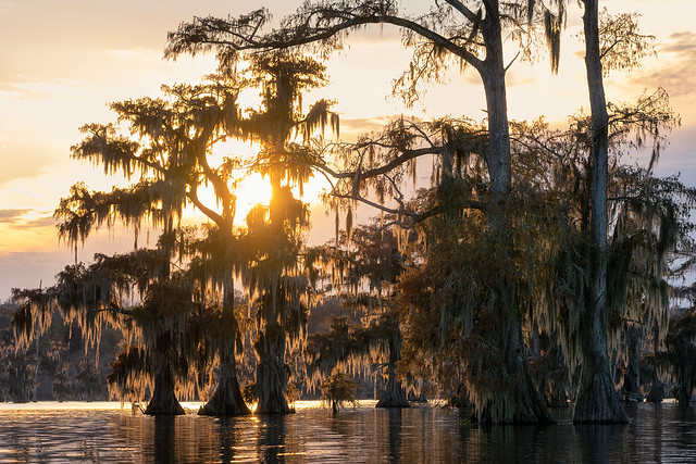 Sunset on the Swamp