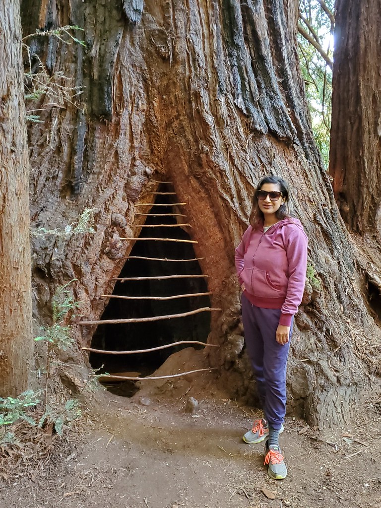 Devi in Roy's Redwoods...