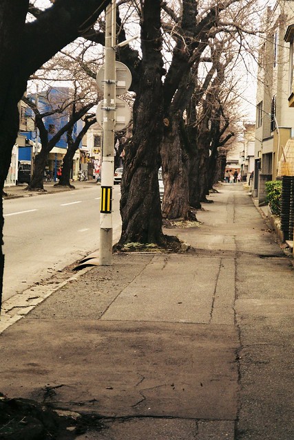 An empty sidewalk