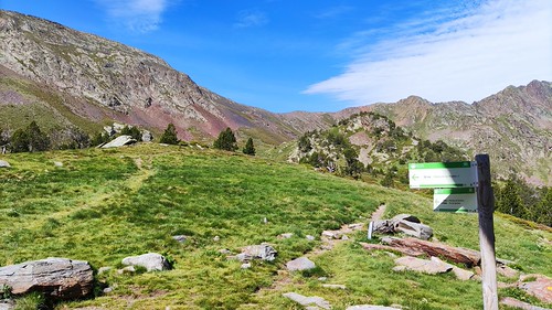 IMG_20210703_101855
