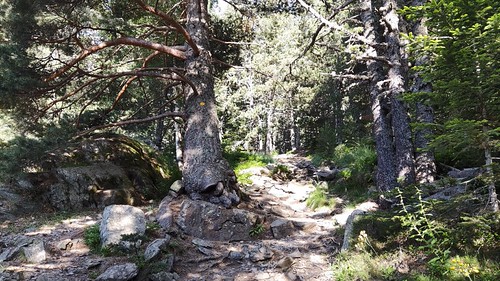 IMG_20210703_090754