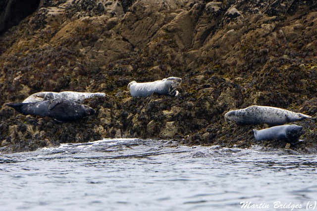 Relaxing seals
