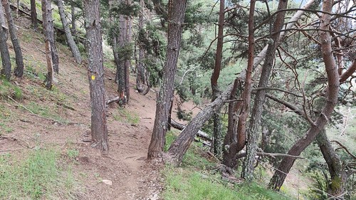 IMG_20210704_141341