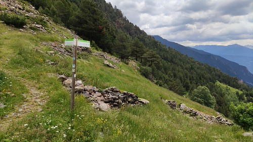 IMG_20210704_140312