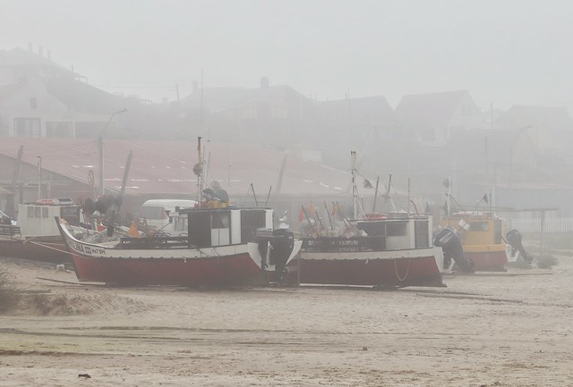 Barcos en la niebla