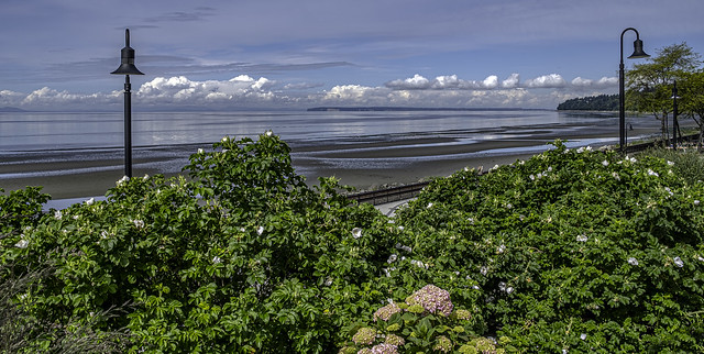 Point Roberts from White Rock