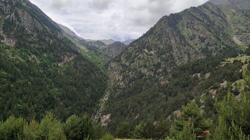 IMG_20210704_140813