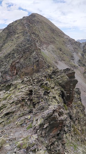 IMG_20210703_142526