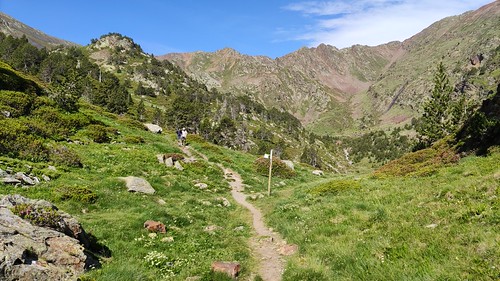 IMG_20210703_095911