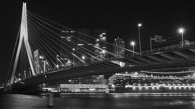 Rotterdam black night