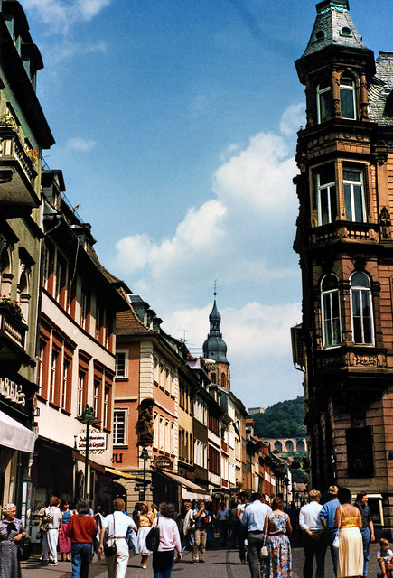 Heidelberger Schloss (24)