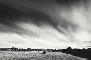 Barford fields 2 | by Toni's anti-social pages