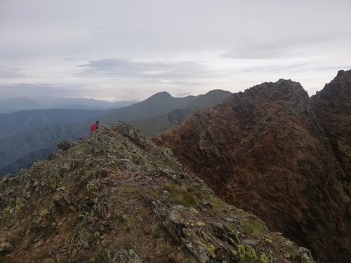 IMG-20210705-WA0005