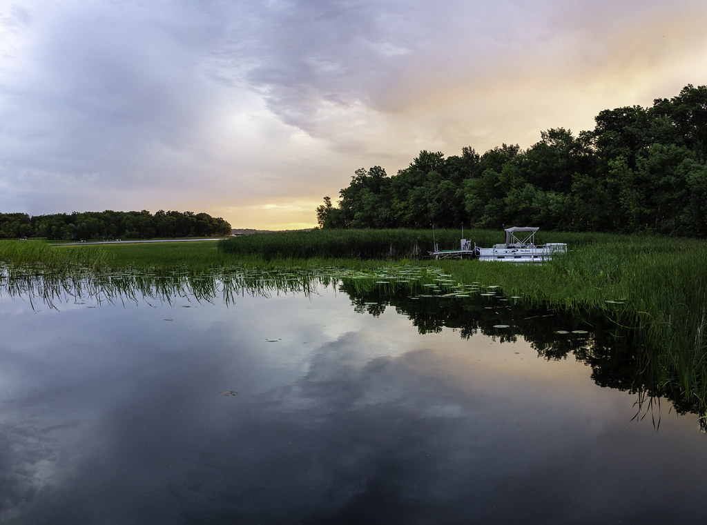 Morning light and wild rice on Big Sandy Lake in McGregor, Minnesota