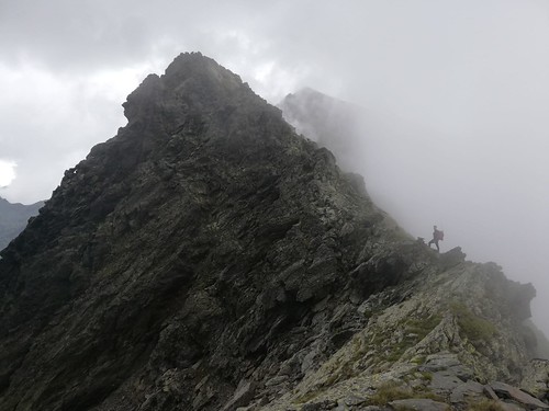 IMG-20210705-WA0067