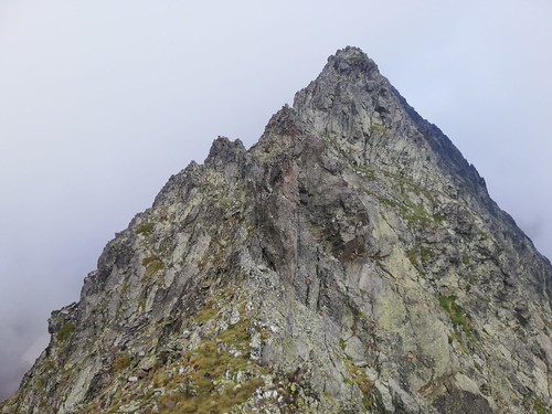IMG-20210705-WA0055