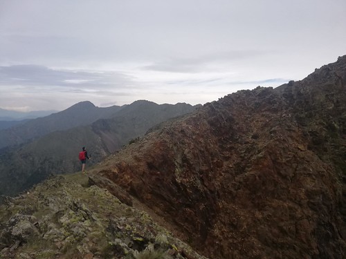 IMG-20210705-WA0012