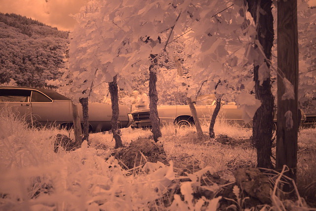 Infrared experiments at ground level