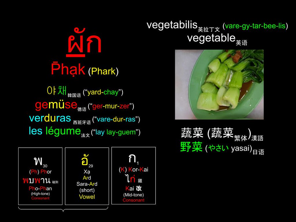 Word of the Day : ผัก (P̄hạk) 蔬菜 (蔬菜) 野菜 (やさい) Vegetables 야채 Gemüse Sayur-Sayuran Sayuran