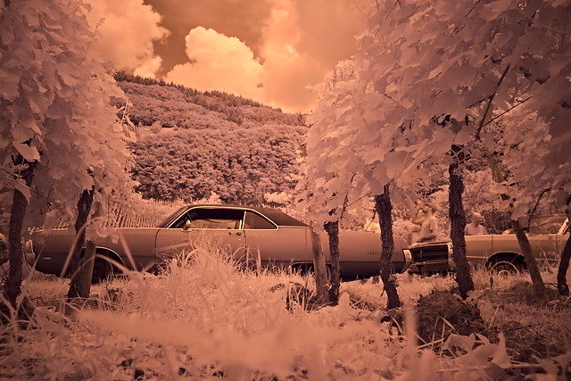 Infrared experiments at ground level