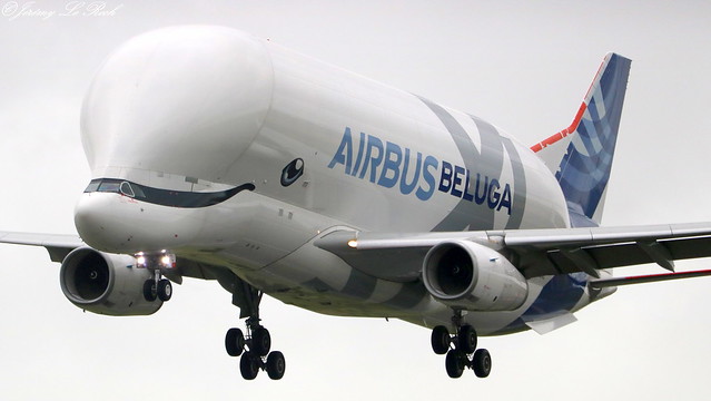 AIRBUS A330-743L BELUGA XL AIRBUS INDUSTRIE F-WBXL      MSN1824 A L'AEROPORT DE BREST-BRETAGNE