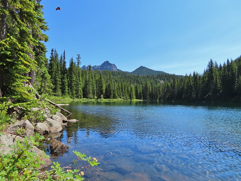 Three Fingered Jack from Lower Berley Lake
