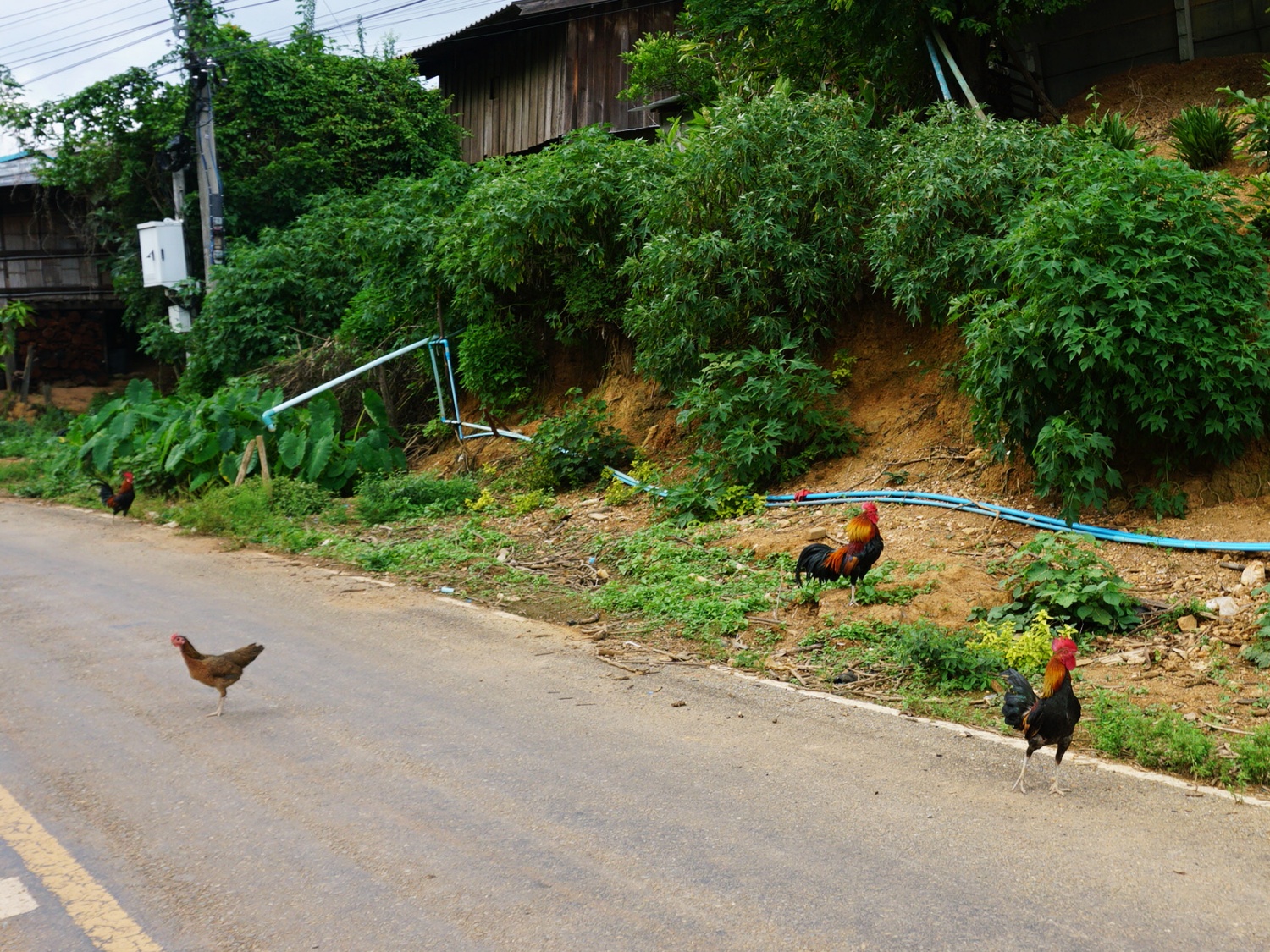 Northern Thailand village