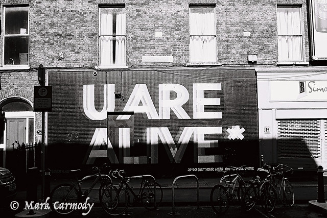 U ARE ALIVE by Maser & Aches