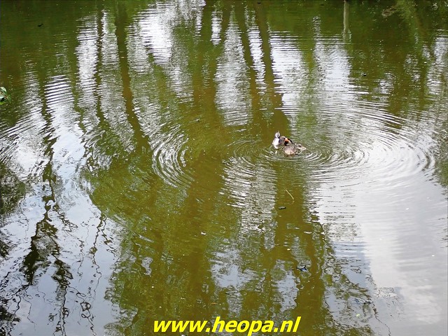 2021-07-02   Almere 3 daagse    van Heopa  3e dag  (24)