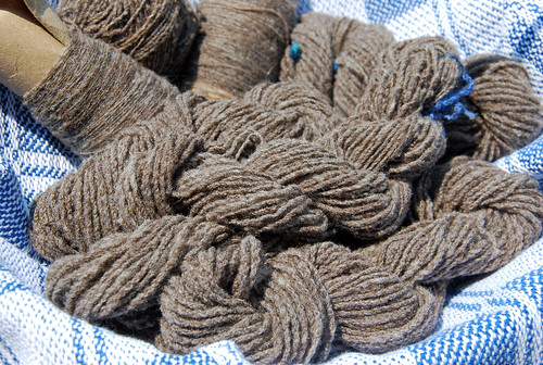 A detail shot of the handspun Olde English Babydoll Southdown yarn laying on a handwoven blue and white twill tea towel.  Behind the twisted skeins are two wound lengths of singles, and in between is a hand-wound ball of yarn.  The yarn is all medium brown with flecks of white and a red cast.
