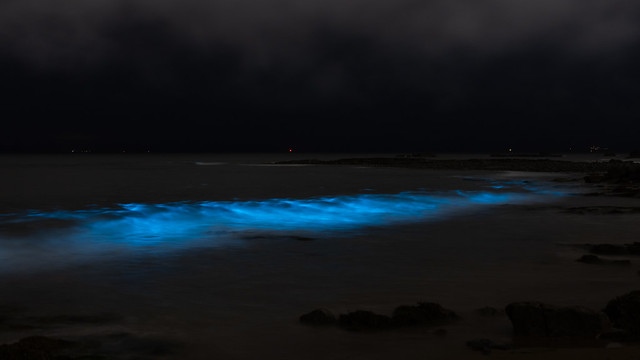Huge wave of glowing plankton