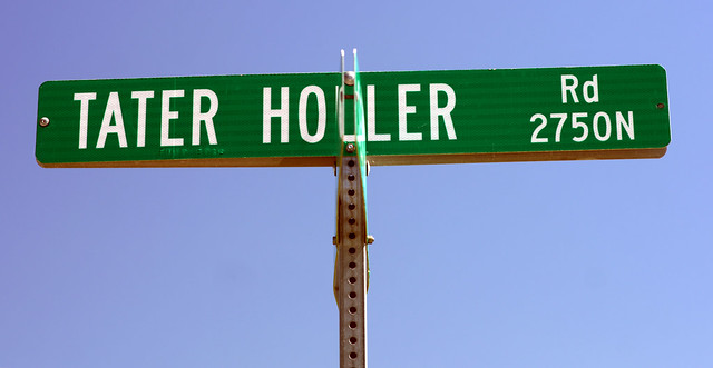 Tater Holler Road