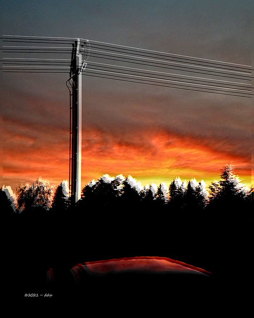 Real Utility Pole, Trees, Sunset, Reflection on Roof of My Truck ~ Artsy