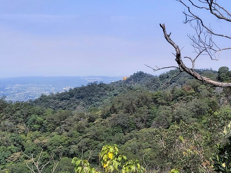 Sanyi Tongluo Ridgeline Hike in Miaoli