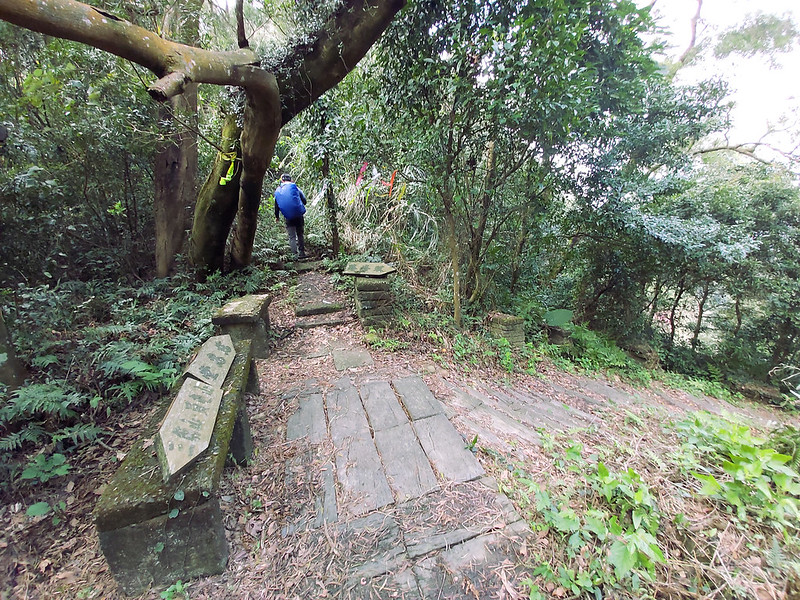 Sanyi Tongluo Ridgeline Hike in Miaoli