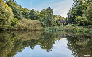 A beautiful place. Enchanting reflections in the Hammer-Pond at Friday Street in the heart of the Surrey Hills.