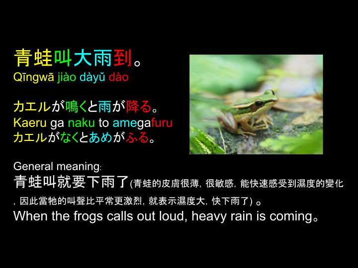 諺語 Proverbs: 青蛙叫大雨到